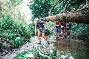 BIB: 
                            <button type="button" onclick="openModal(25474415)" class="btn btn-primary btn-sm float-right btn-popup" data-toggle="modal" data-target=".modal-high-quality">
                        <i class="fas fa-shopping-cart"></i> Add to Cart
                    </button>
                                            <button type="button" onclick="isThisMe(25474415, true)" class="btn btn-success btn-sm float-right btn-popup btn-isme hidden" data-toggle="tooltip" data-placement="bottom" title="นี่คือรูปของคุณใช่ไหม คลิกที่นี่เพื่อเอาเข้าอัลบั้ม">
                        <i class="fas fa-plus"></i> Add to album
                    </button>
                    <button type="button" onclick="isThisMe(25474415, false)" class="btn btn-warning btn-sm float-right btn-popup btn-isnotme hidden">
                        <i class="fas fa-ban"></i> Remove from album
                    </button>